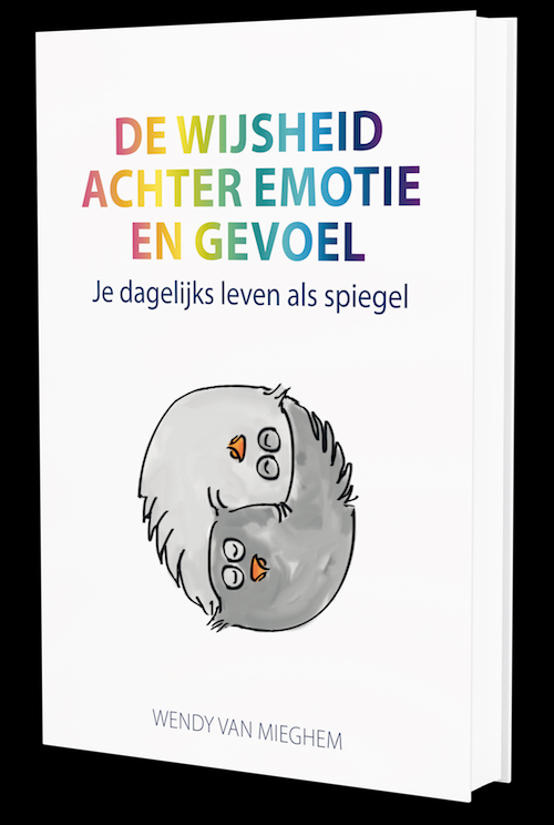 Omslag van De wijsheid achter emotie en gevoel
