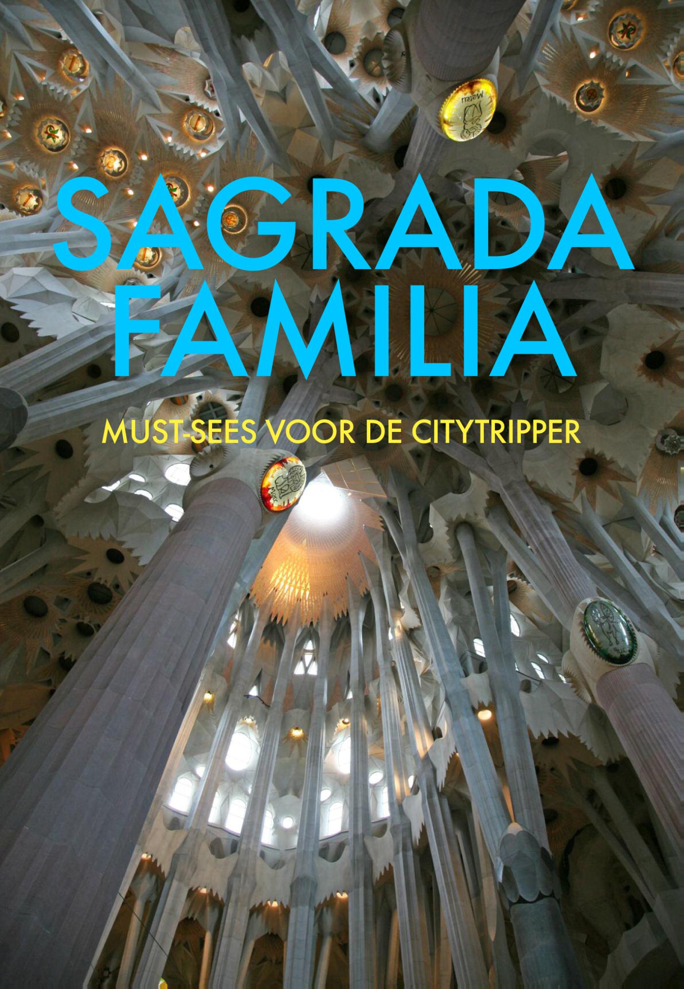Omslag van Sagrada Familia Barcelona