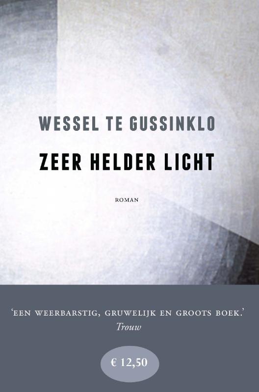 Omslag van Zeer helder licht
