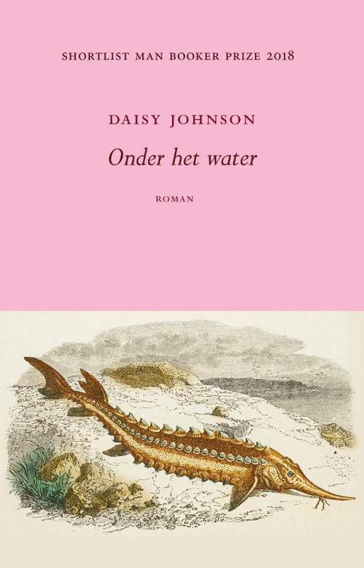 Omslag van Onder het water