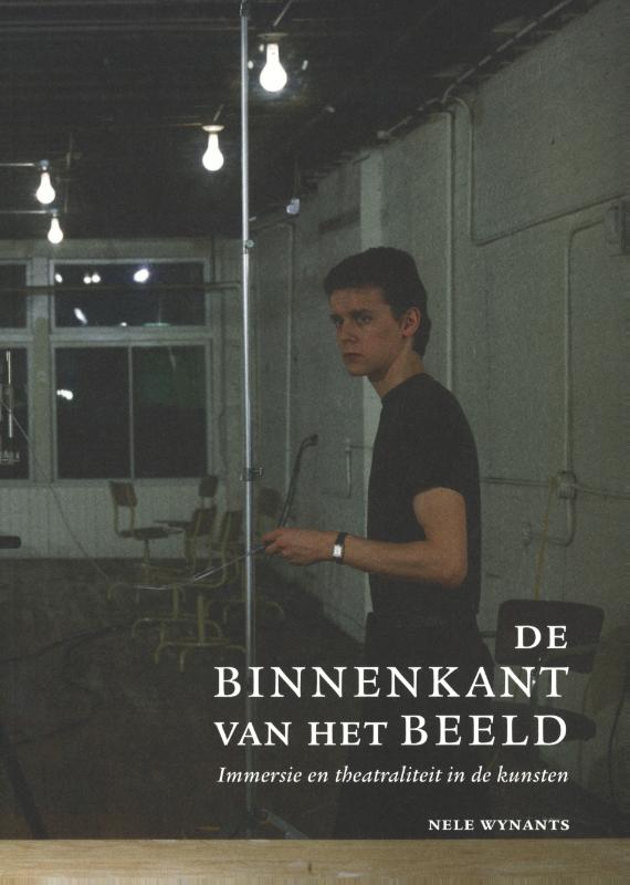 Omslag van De binnenkant van het beeld