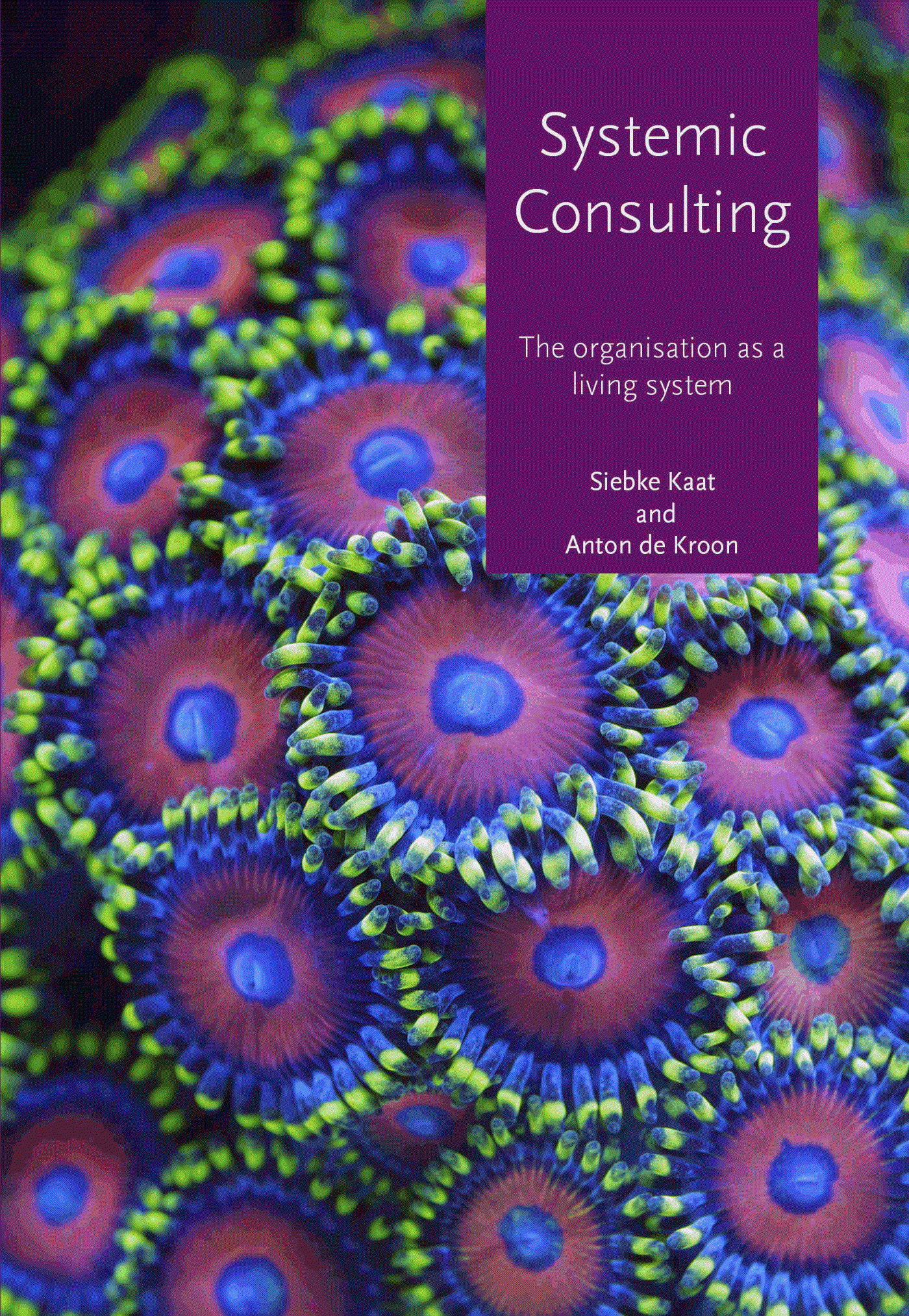 Omslag van Systemic consulting