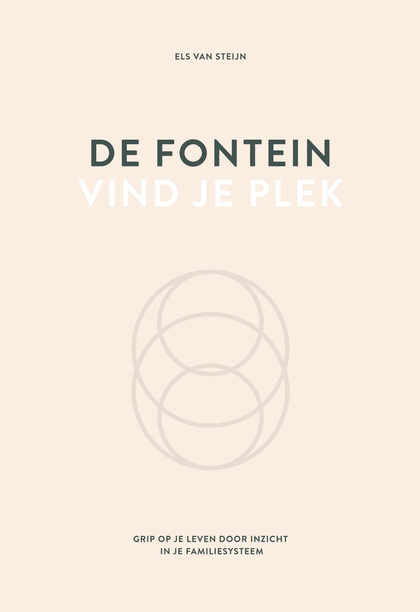 Omslag van De fontein, vind je plek