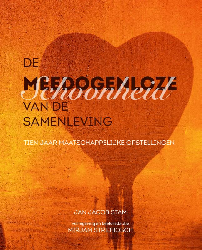 Omslag van De meedogenloze schoonheid van de samenleving