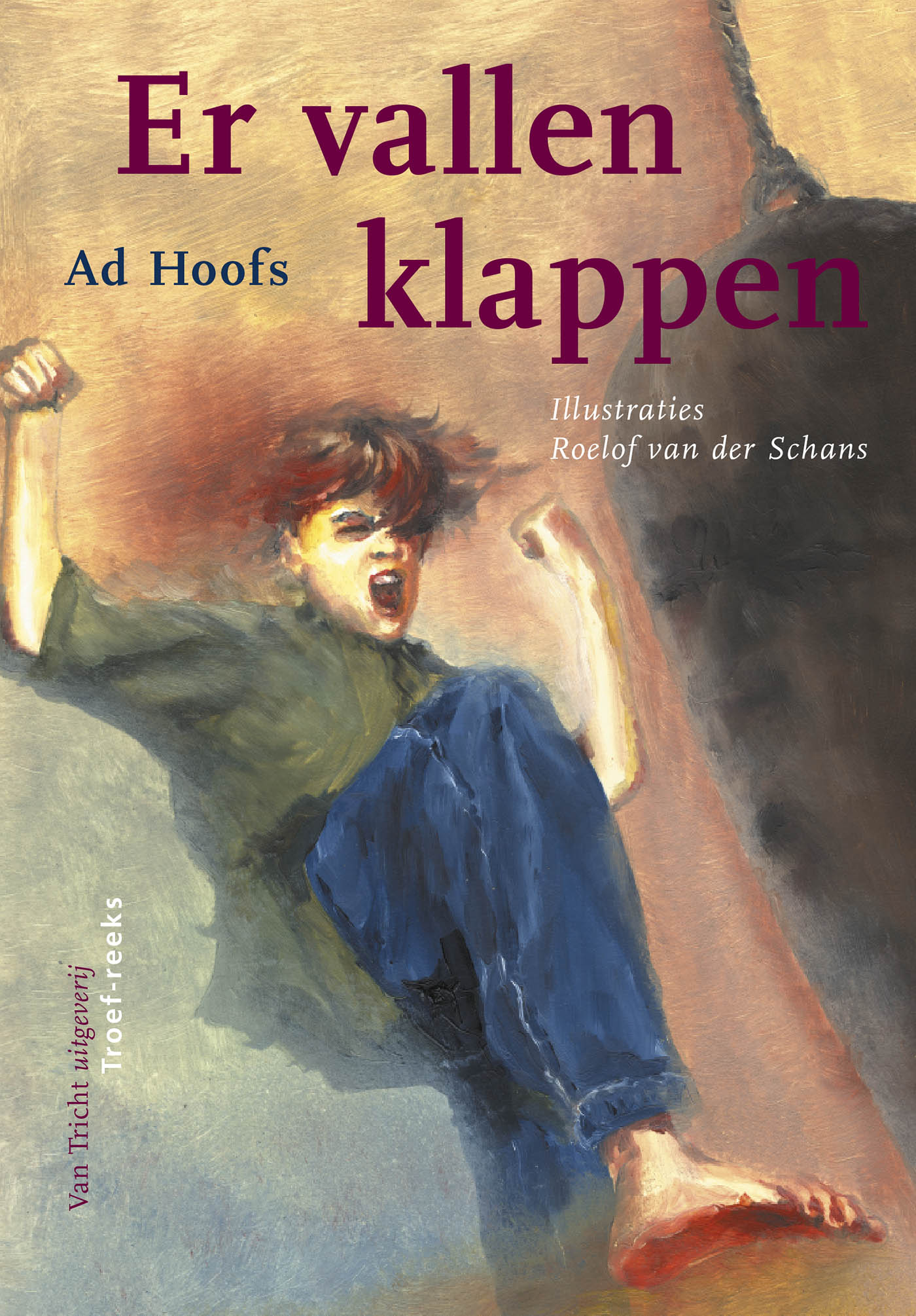 Omslag van Er vallen klappen