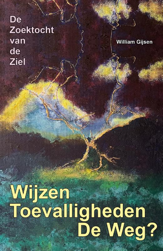 Omslag van Wijzen toevalligheden de weg?