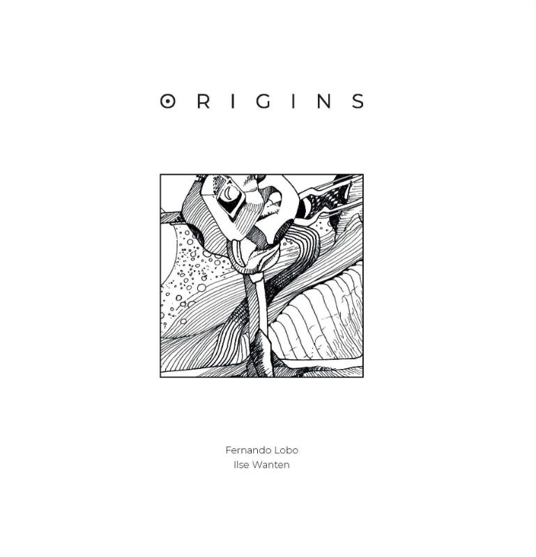 Omslag van Origins
