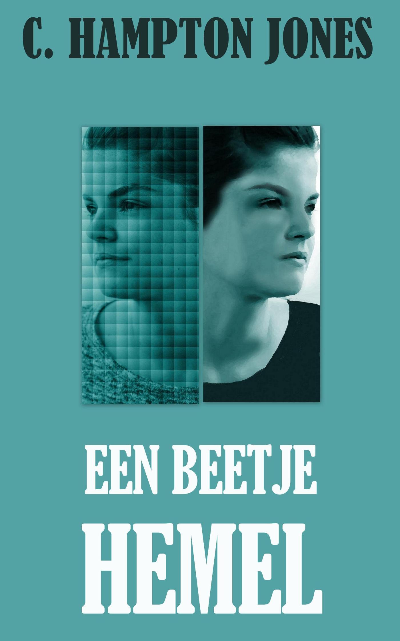 Omslag van Een beetje hemel
