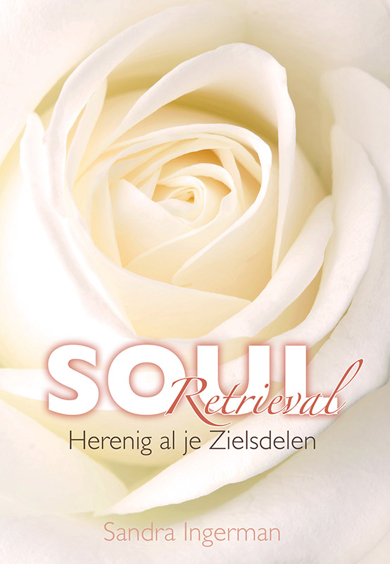 Omslag van Soul Retrieval