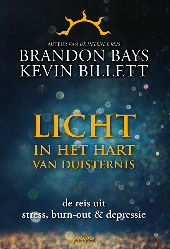 Omslag van Licht in het hart van duisternis