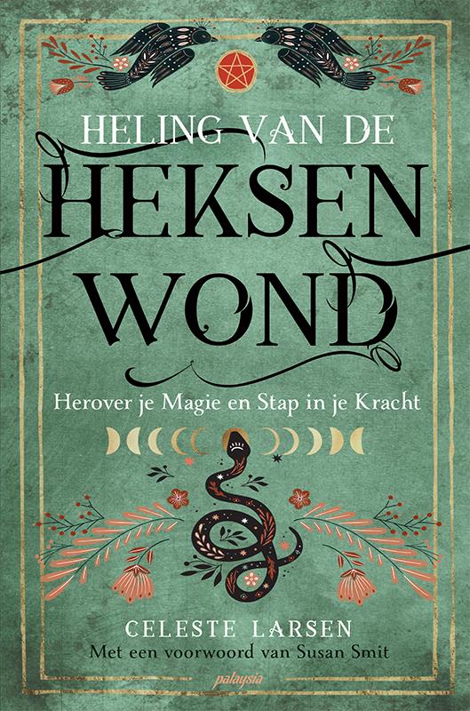 Omslag van Heling van de heksenwond