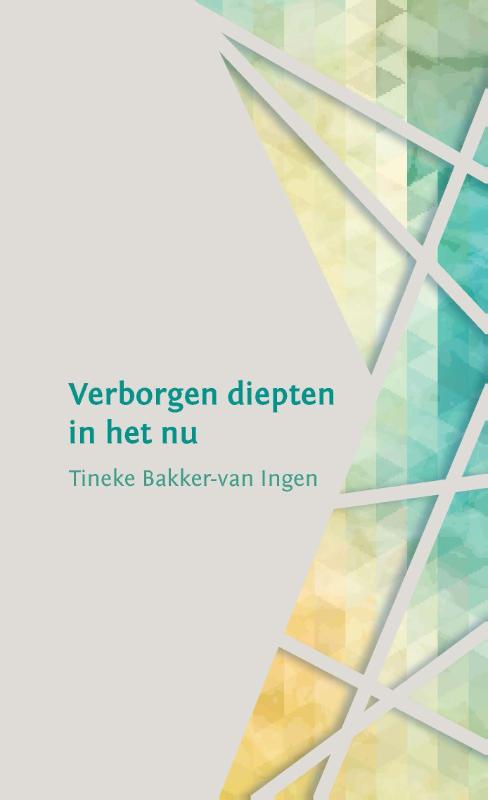Omslag van Verborgen diepten in het nu