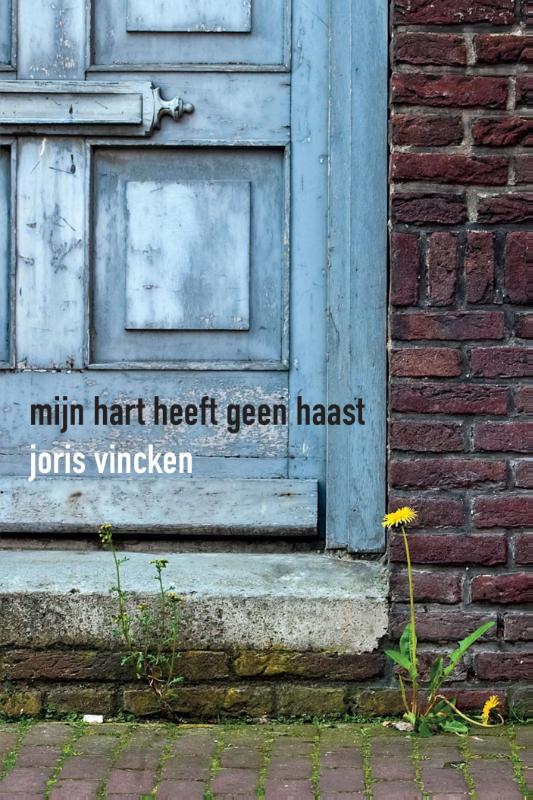 Omslag van Mijn hart heeft geen haast