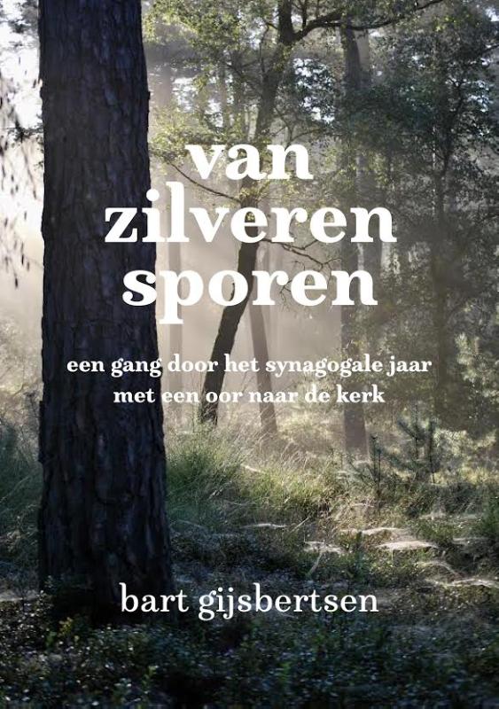 Omslag van Van zilveren sporen
