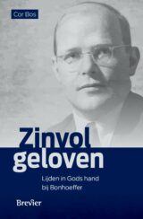 Omslag van Zinvol geloven