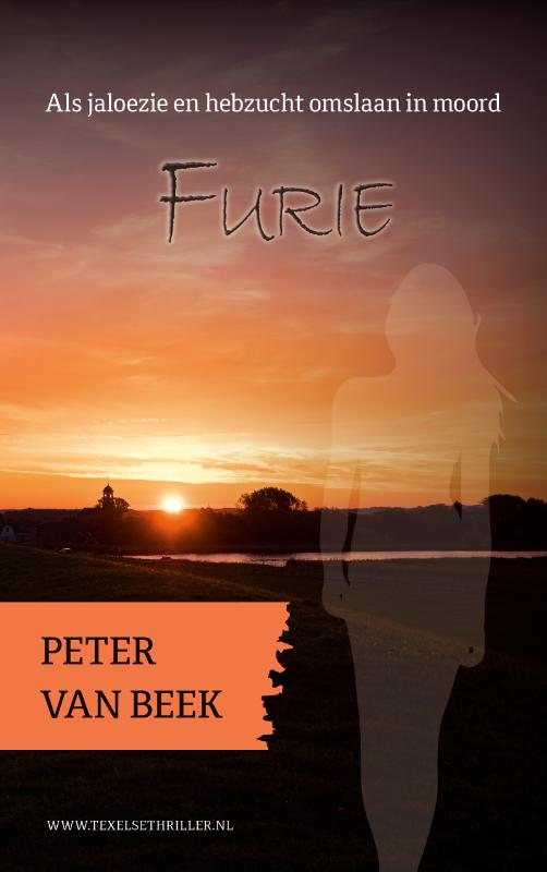 Omslag van Furie