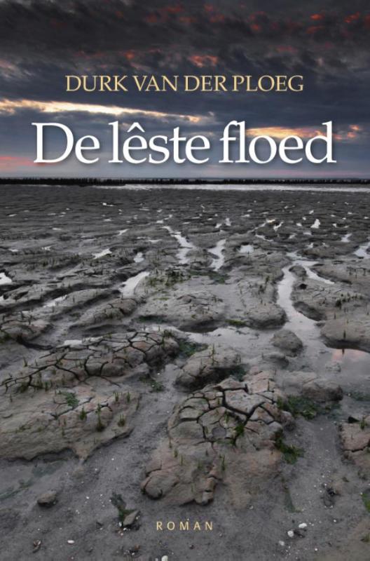 Omslag van De lêste floed