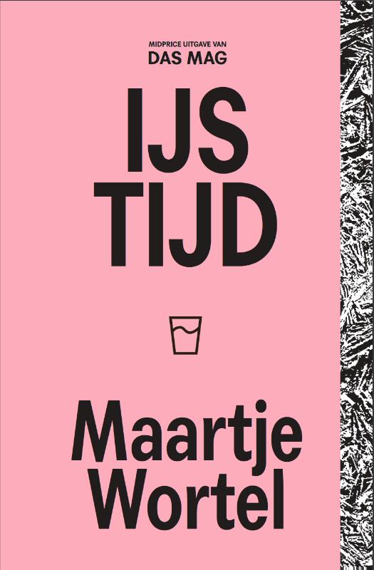 Omslag van IJstijd
