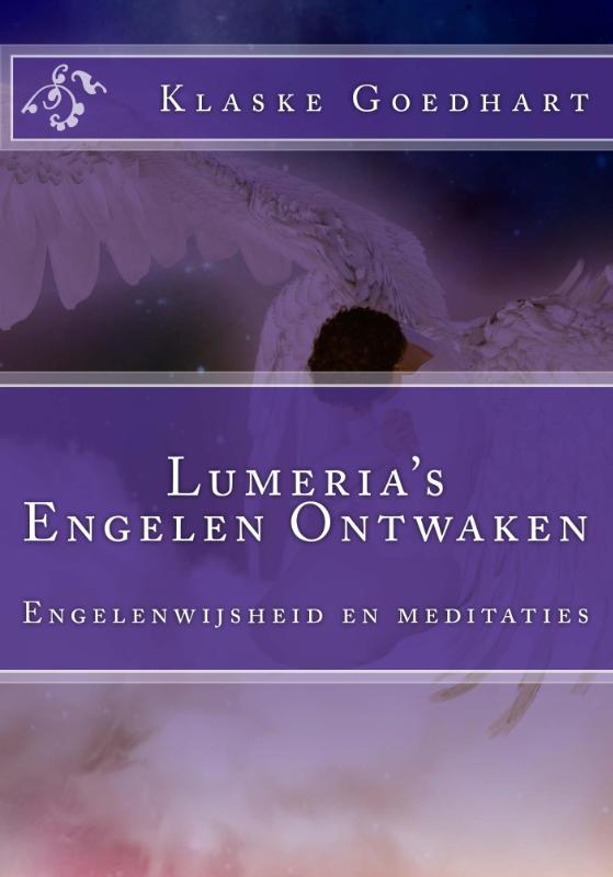 Omslag van Engelen ontwaken