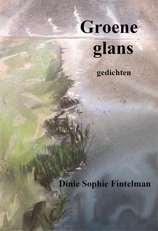 Omslag van Groene glans