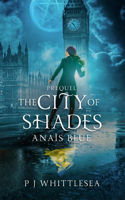 Omslag van The City of Shades