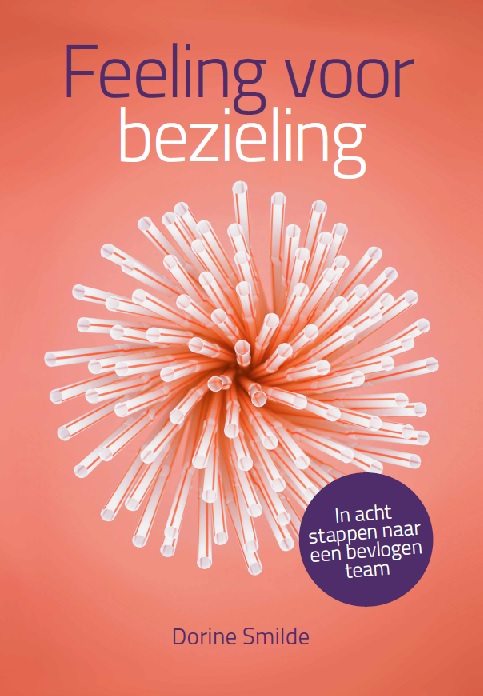 Omslag van Feeling voor bezieling