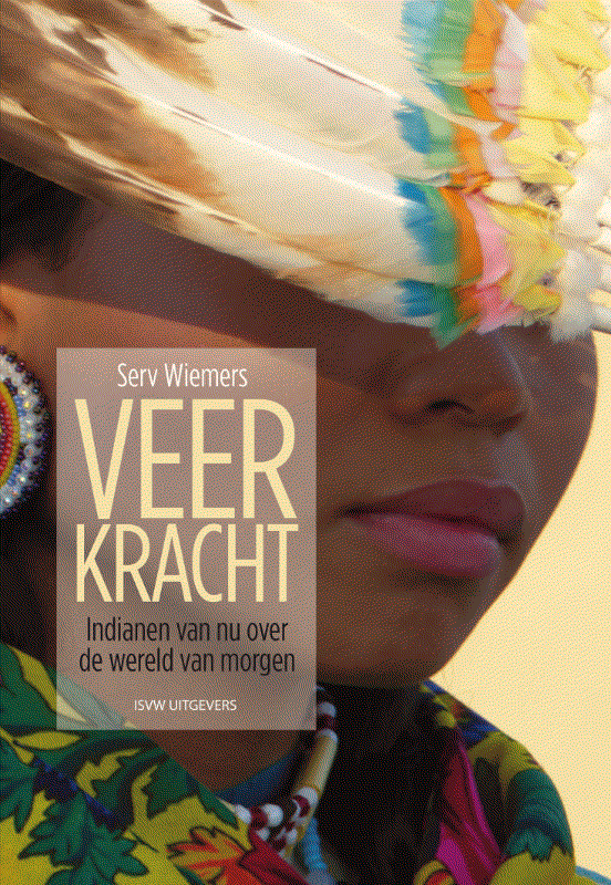 Omslag van Veerkracht