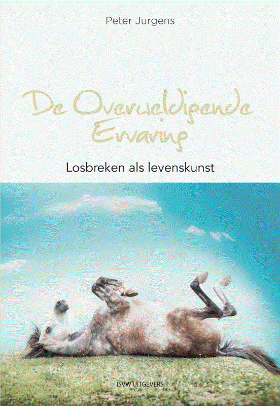 Omslag van De Overweldigende Ervaring