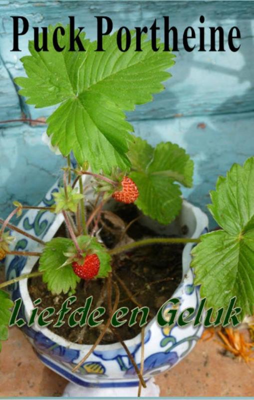 Omslag van Liefde en geduld