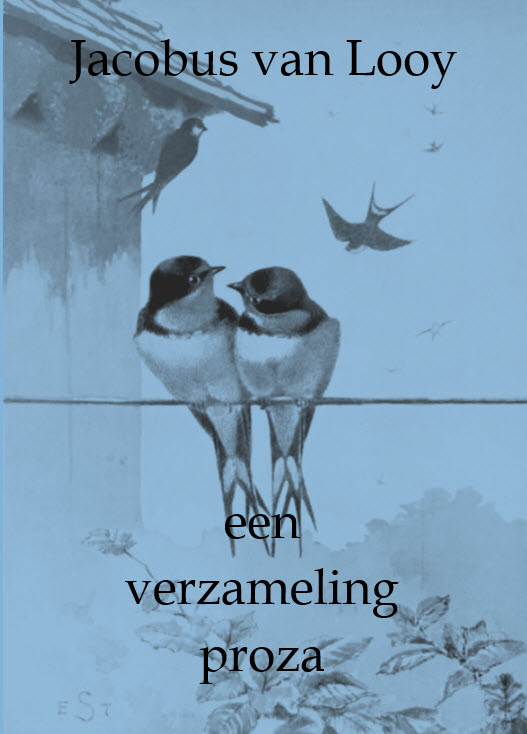 Omslag van Een verzameling proza