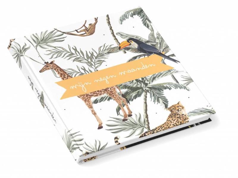 Omslag van Mijn negen maanden