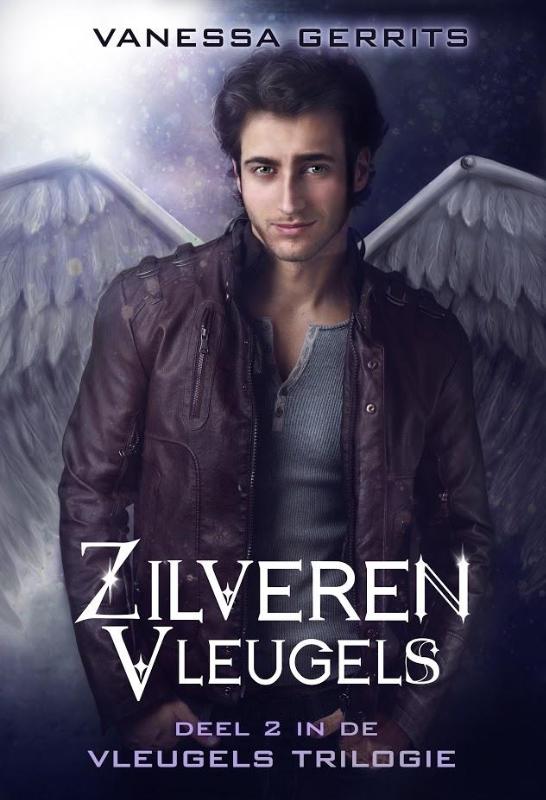Omslag van Zilveren vleugels