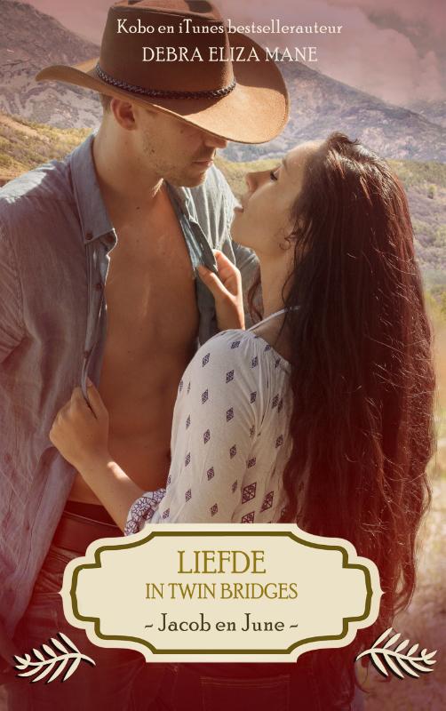 Omslag van Liefde in Twin Bridges