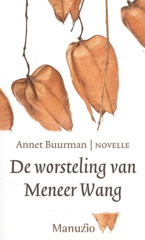 Omslag van De worsteling van meneer Wang