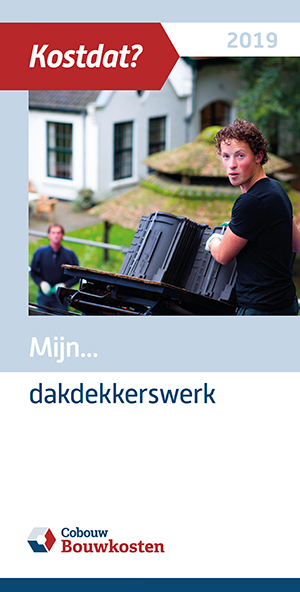 Omslag van Mijn Dakdekkerswerk