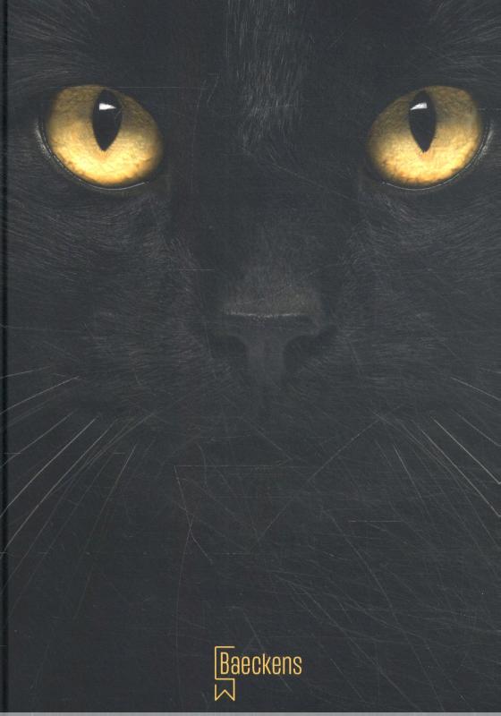 Omslag van WarriorCats