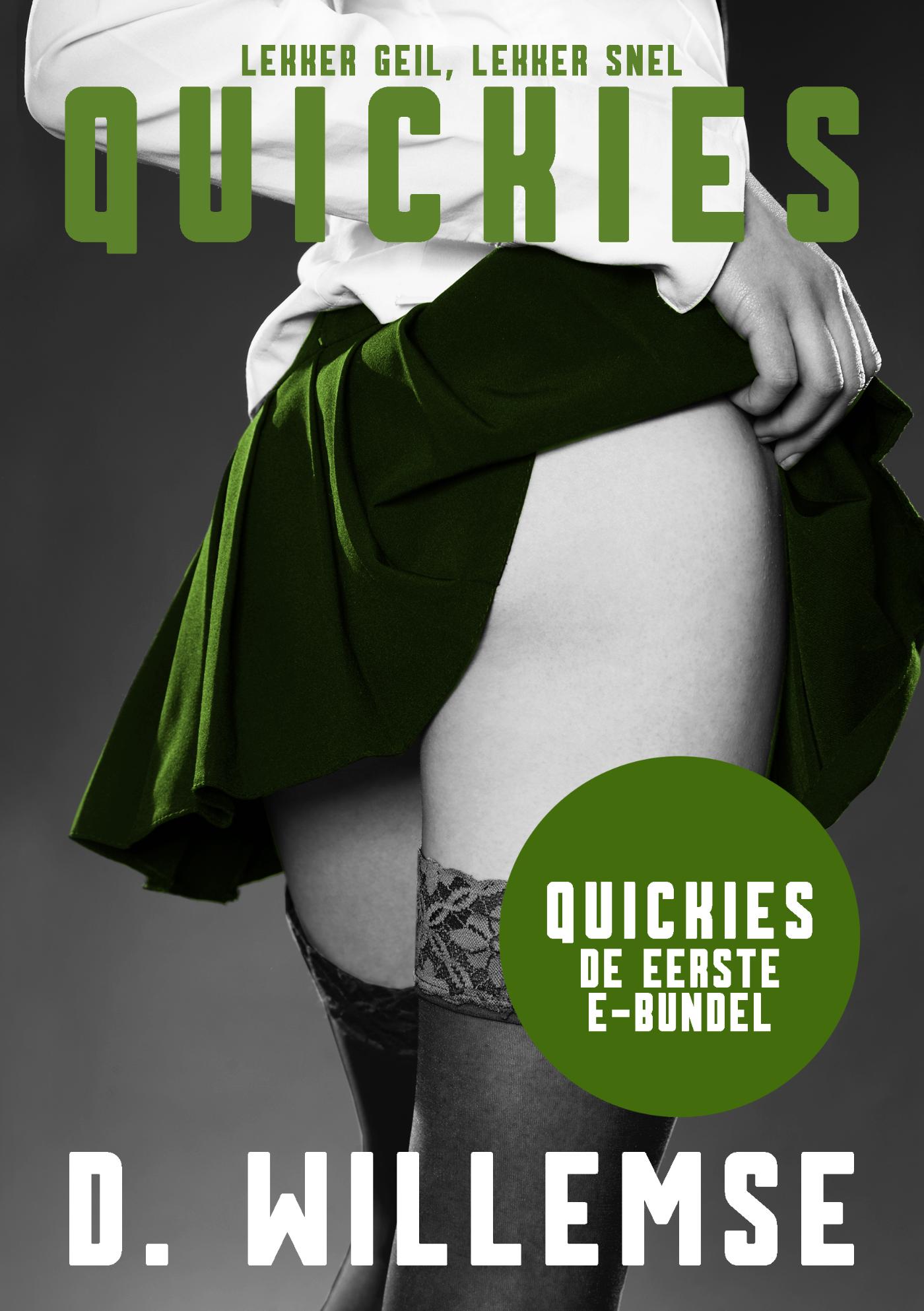 Omslag van Quickies: De Eerste E-bundel