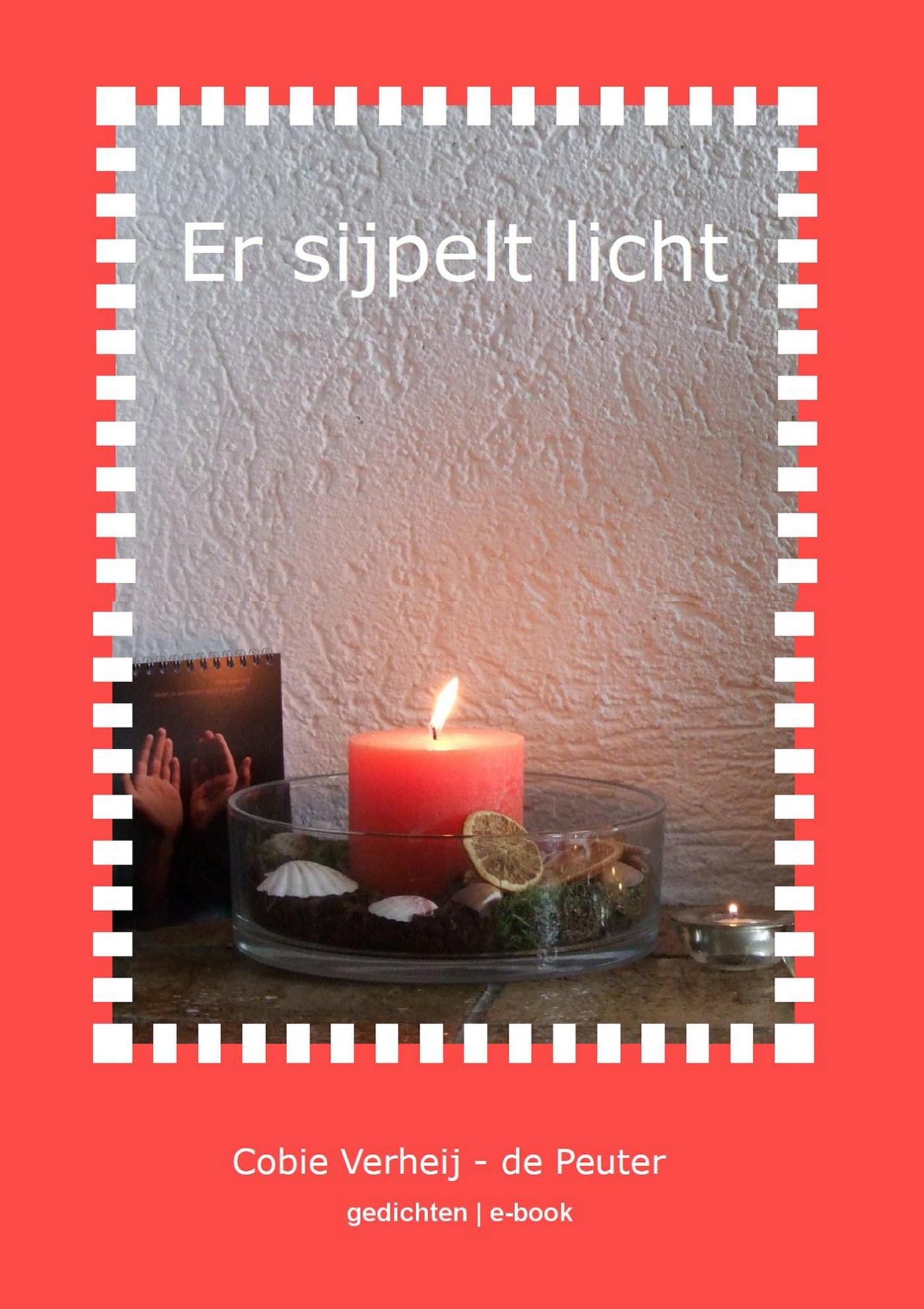 Omslag van Er sijpelt licht