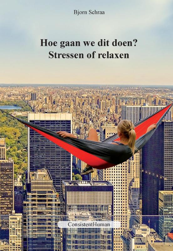 Omslag van Hoe gaan we dit doen?