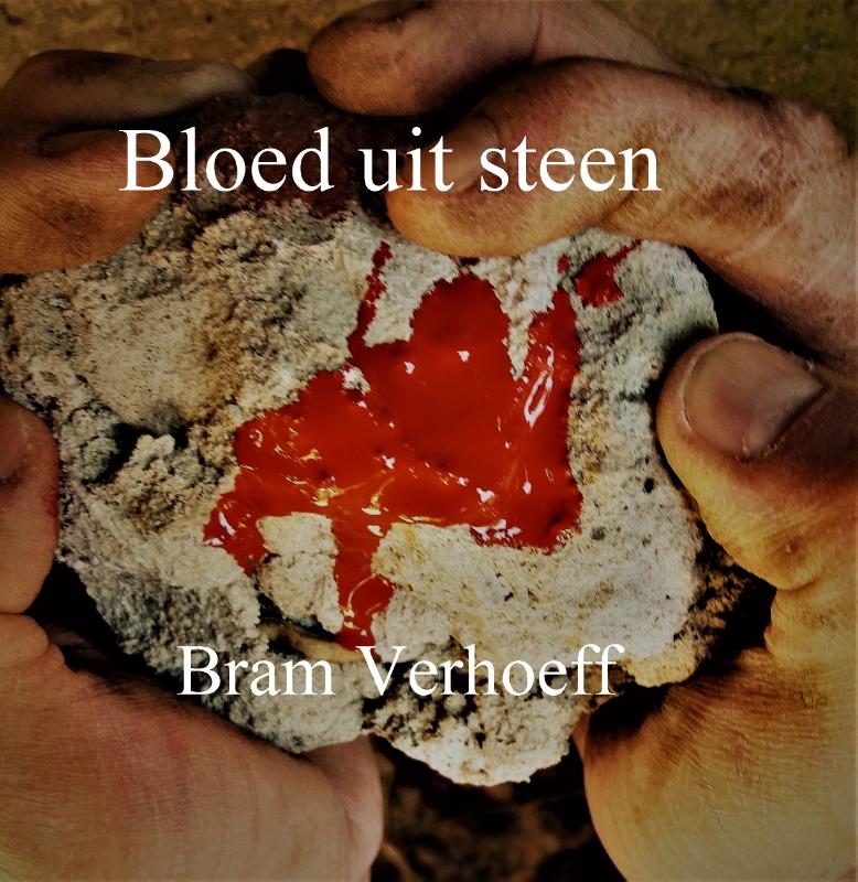 Omslag van Bloed uit Steen
