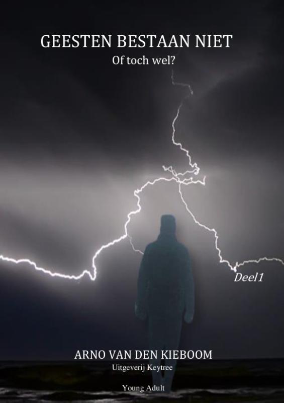 Omslag van Geesten bestaan niet
