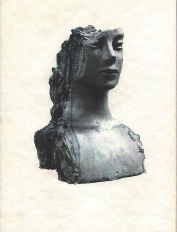Omslag van Rokin Fountain Mark Manders