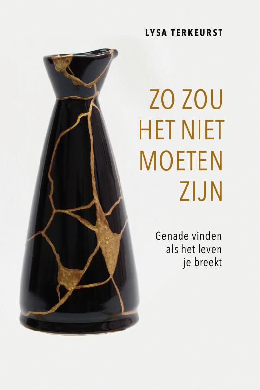 Omslag van Zo zou het niet moeten zijn