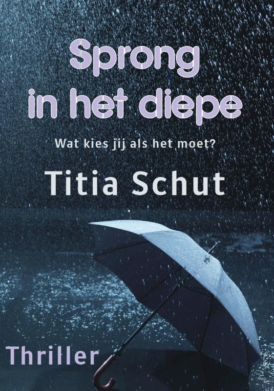 Omslag van Sprong in het diepe
