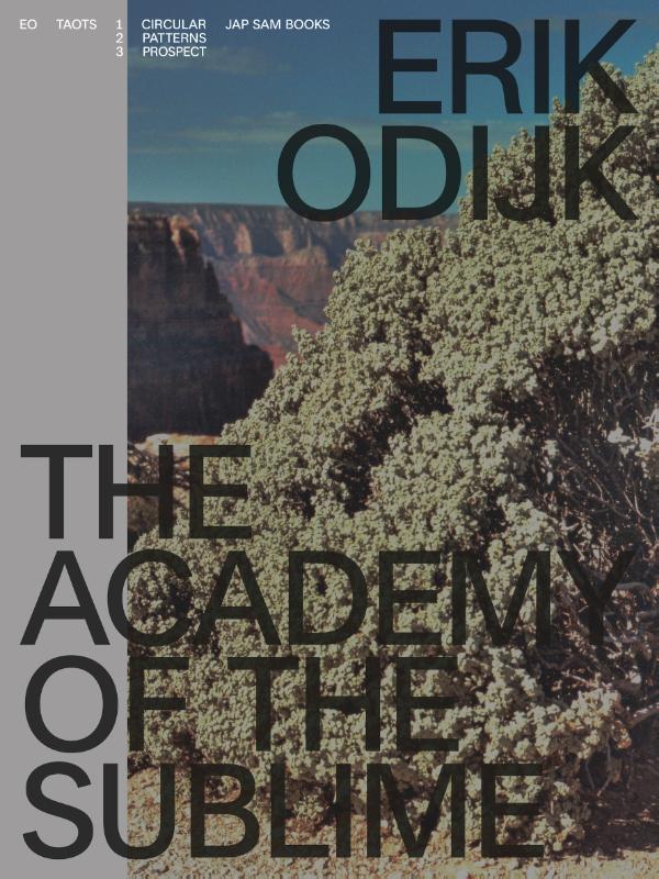 Omslag van Erik Odijk. The Academy of the Sublime