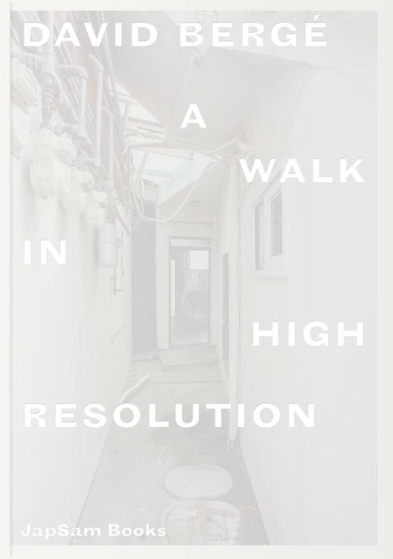 Omslag van David Bergé. A Walk in High Resolution