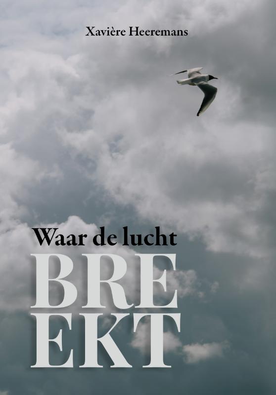 Omslag van Waar de lucht breekt