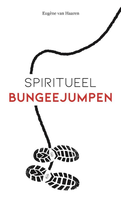 Omslag van Spiritueel bungeejumpen