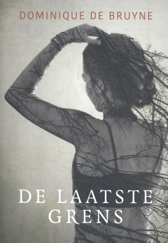 Omslag van De laatste grens