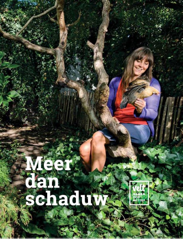 Omslag van Meer dan schaduw